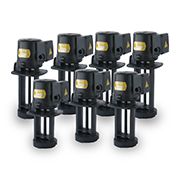 vbv series